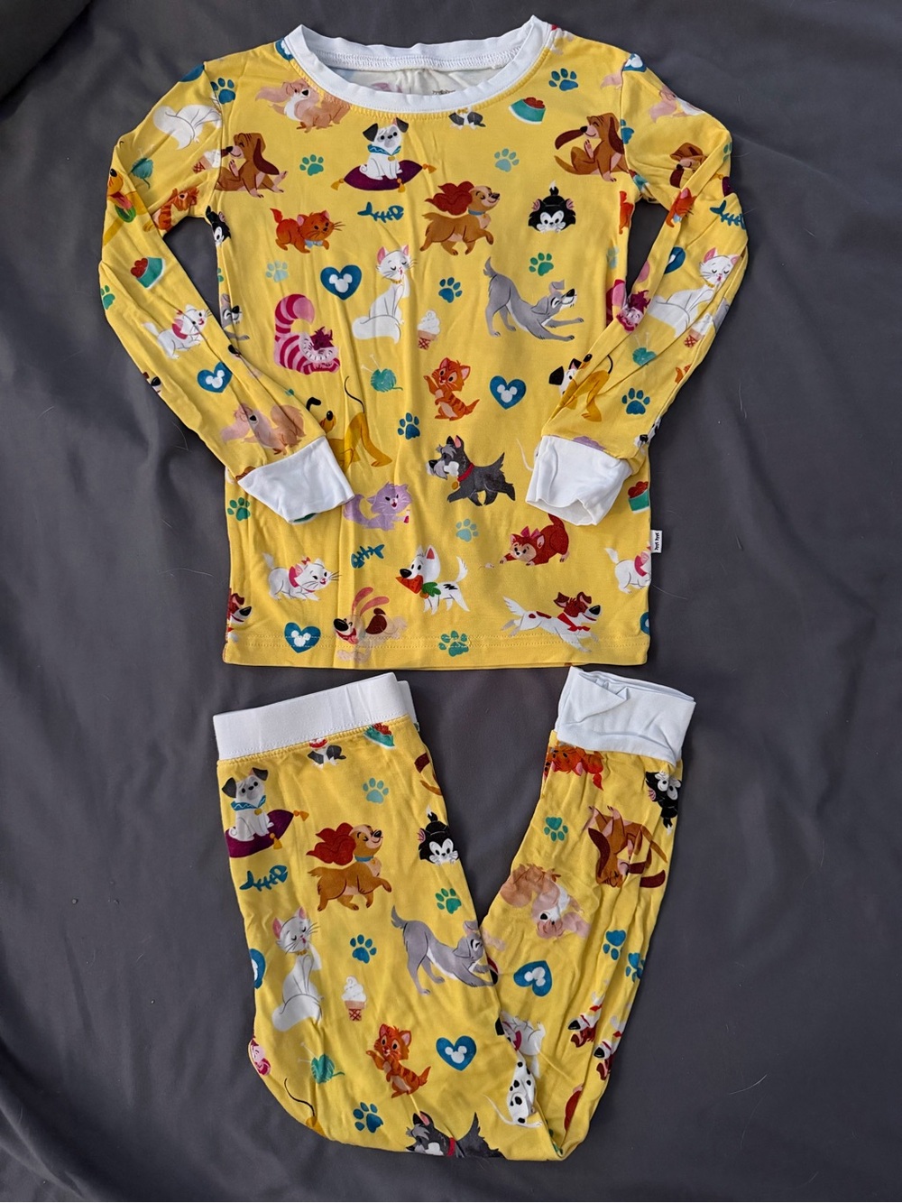 Little Sleepies Disney Pets Long Sleeve Pants 2 Piece Pajama Set 3T VGUC